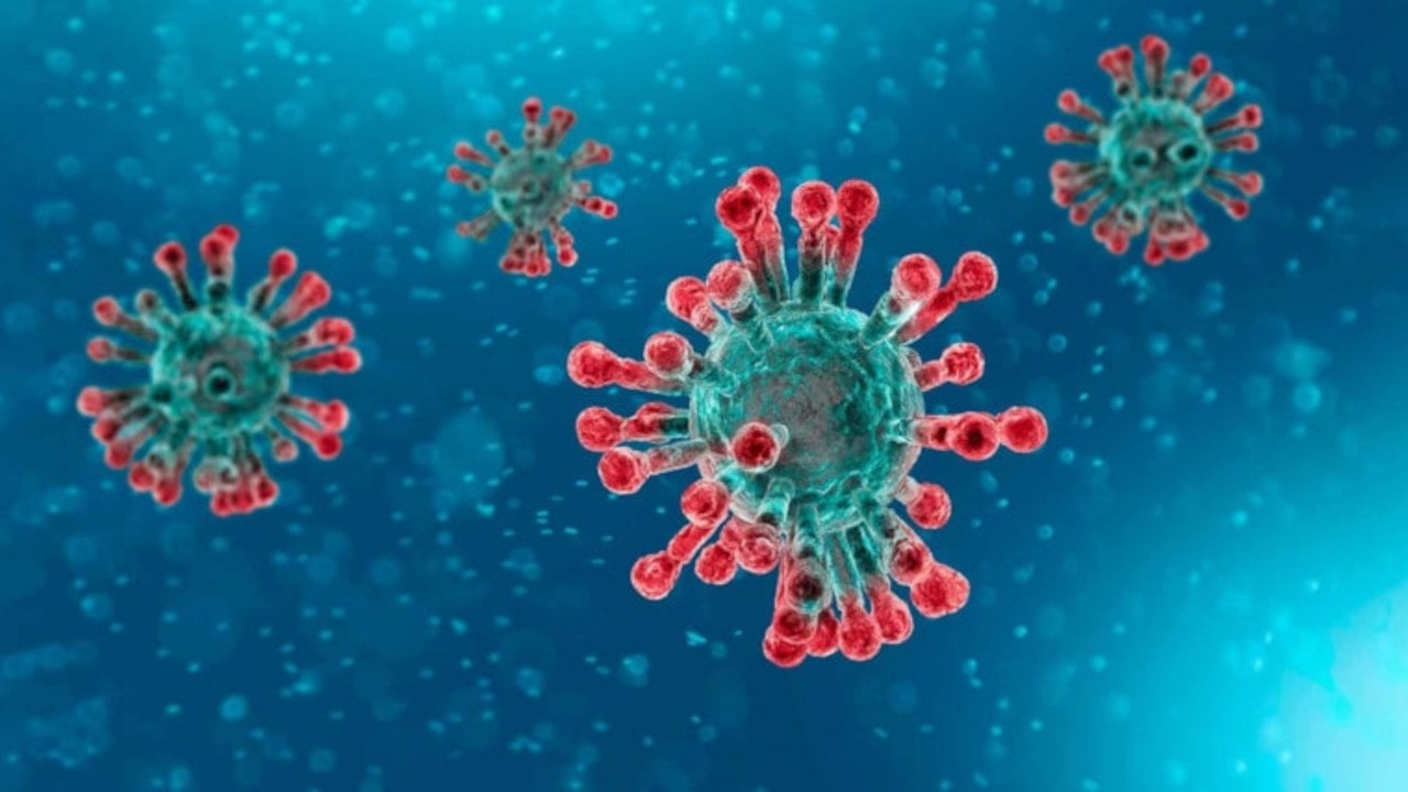 coronavirus