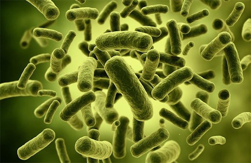 microbioma humano