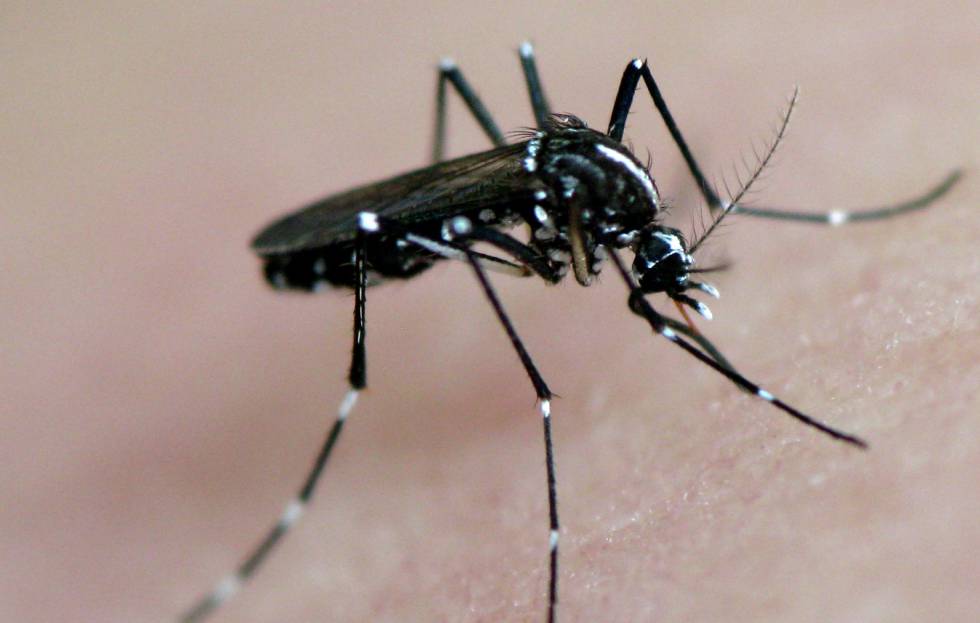 zika