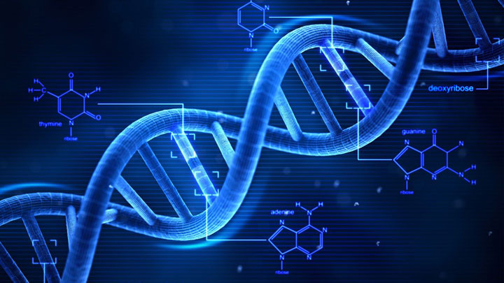 LAS TIJERAS MOLECULARES DEL NOBEL DE QUÍMICA 2020