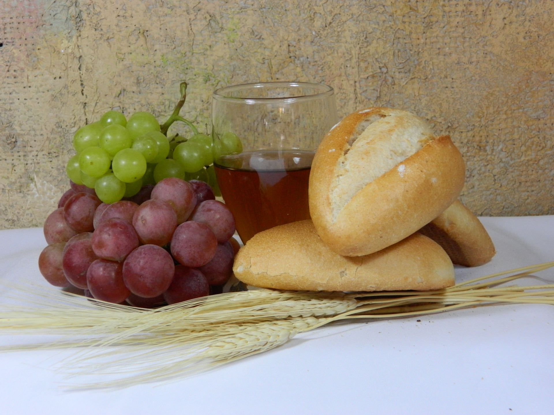 VERSIÓN NUTRICIONAL DEL PARAÍSO