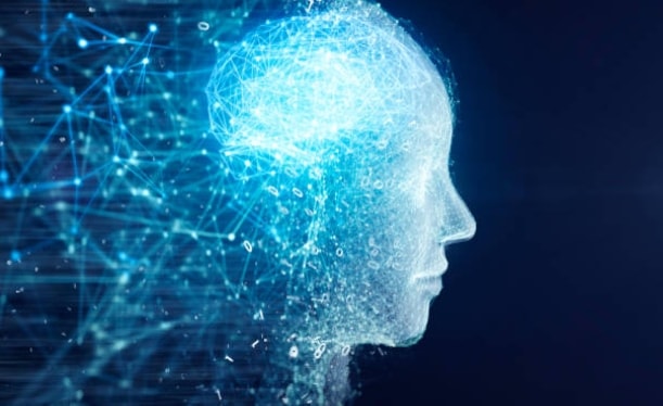 cerebro y funcionamiento