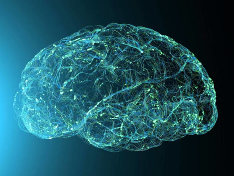 cerebro