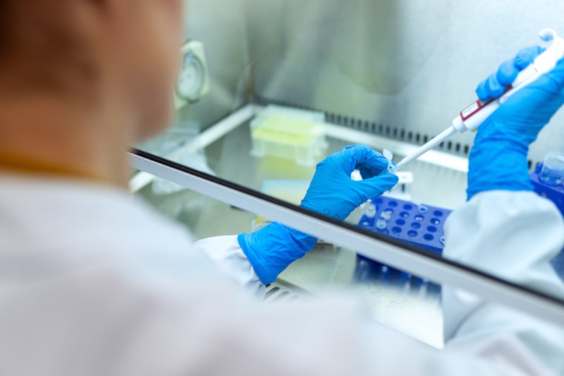 ciencia e investigación