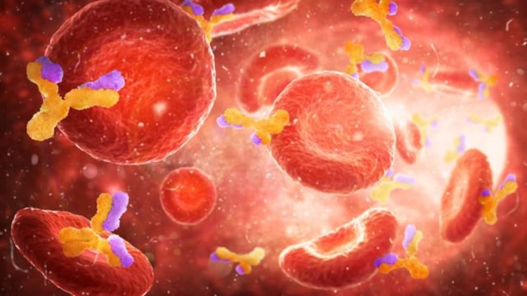 plasma-covid-19