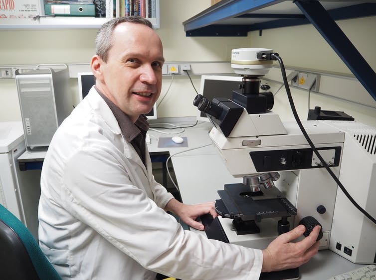 biólogo Karel Van Wely, en el Centro Nacional de Biotecnología del CSIC