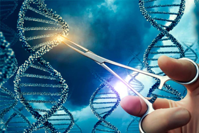 CRISPR-ADN