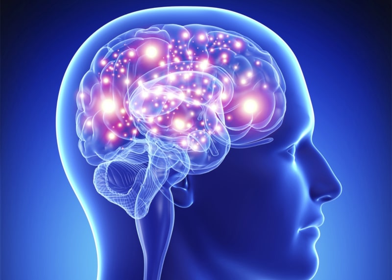 Citoquinas y excitabilidad cerebral