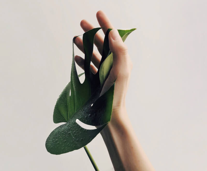 minimalismo-menos-es-más