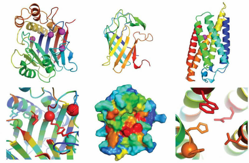 Estos-son-los-avances-cientificos-mas-importantes-de-2021-segun-la-revista-Science