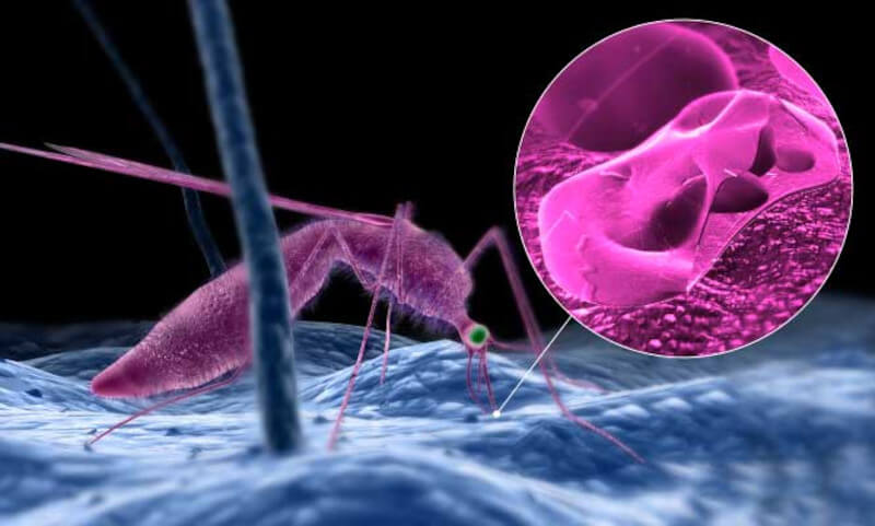Más casos y muertes por malaria en 2020 como consecuencia de la covid-19