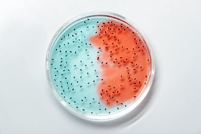 bacterias-multirresistentes