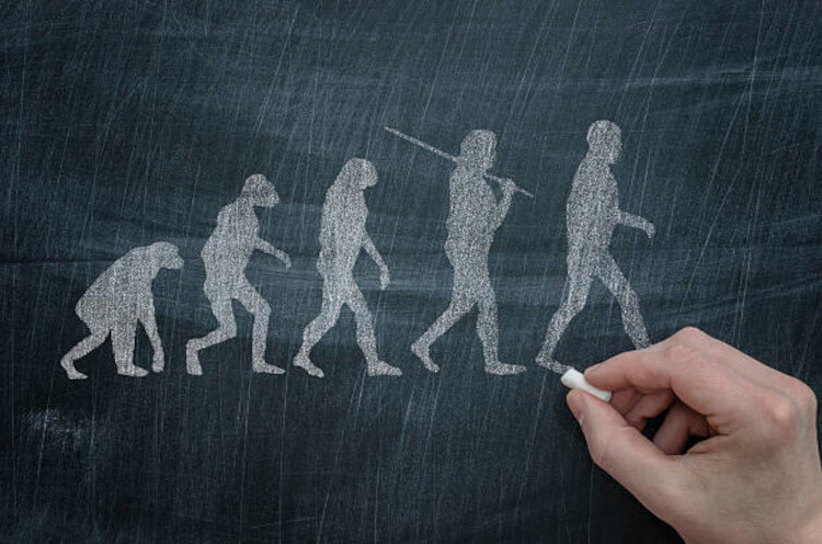 evolución-humana