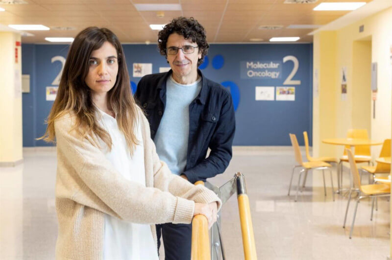 Investigadores Marcos Malumbres y Carolina Villarroya-Beltri