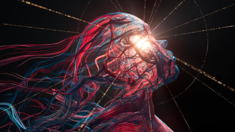 neuro-rehabilitación