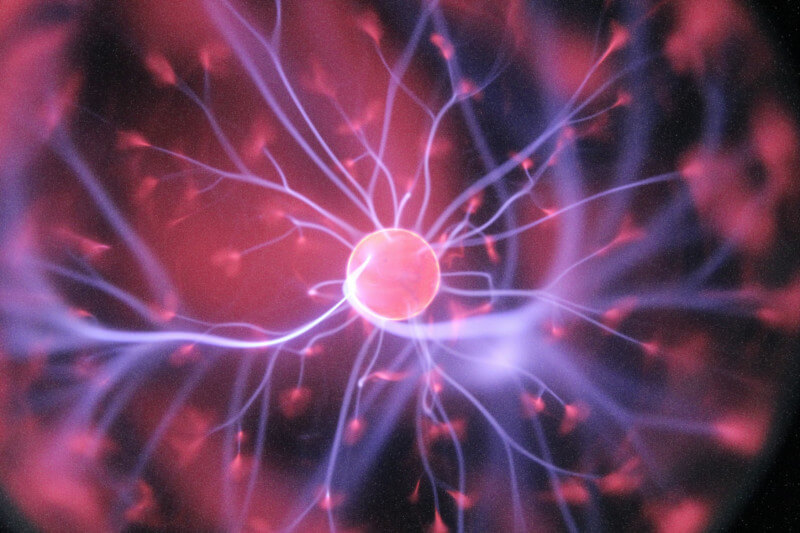 Identifican las neuronas que restauran la capacidad de caminar tras una parálisis