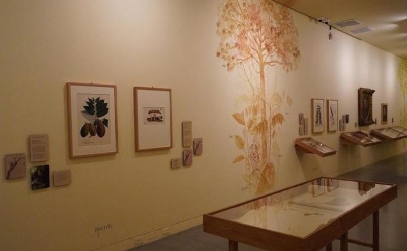 Museo de Antioquia-Mutis