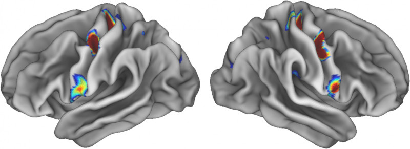 zonas especiales en las áreas de movimiento que conectan con áreas implicadas en el pensamiento