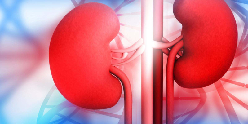Decisiones al final de la vida en la enfermedad renal crónica avanzada