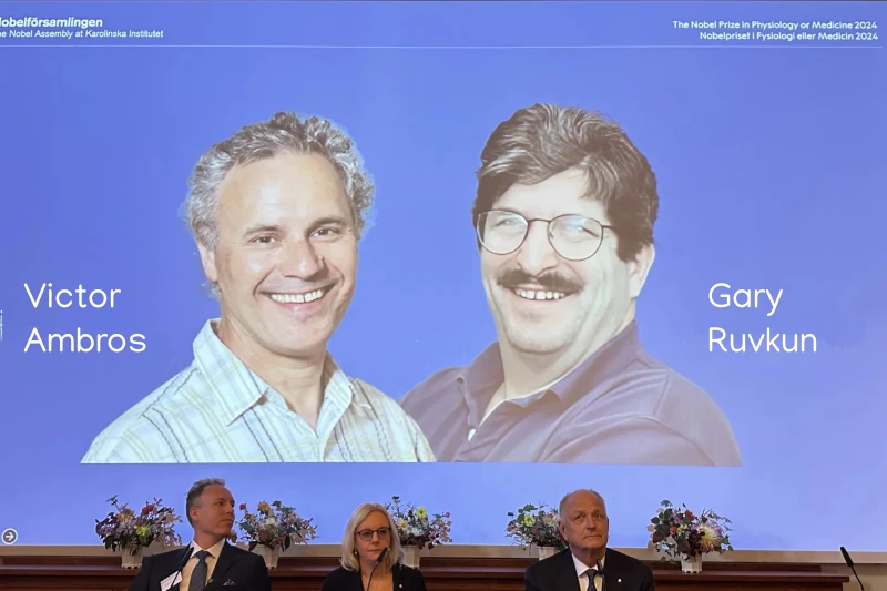 Premio_Nobel_medicina_2024