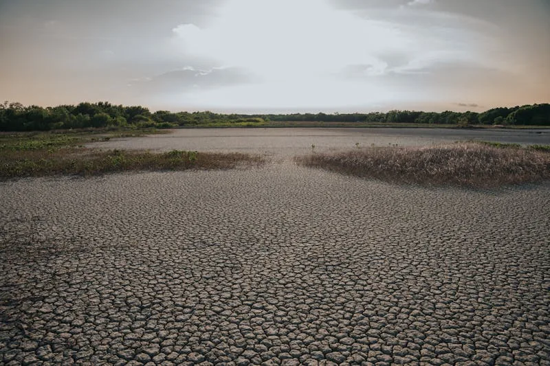 cambio_climatico