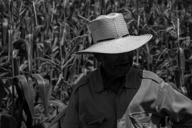 campo_campesino