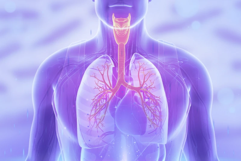 microbioma_pulmonar