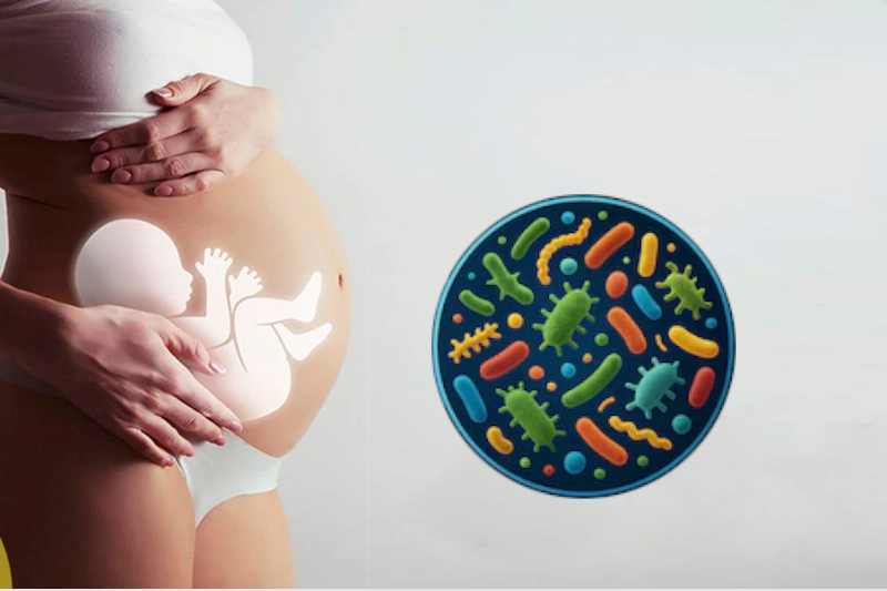 microbiota-Intestinal_bebe_y_lactancia